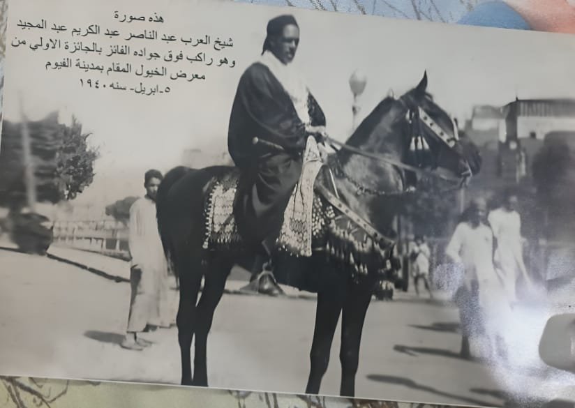 عبدالناصر