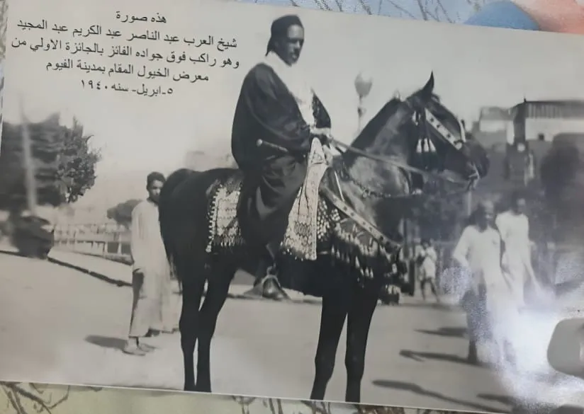 صورة عبدالناصر