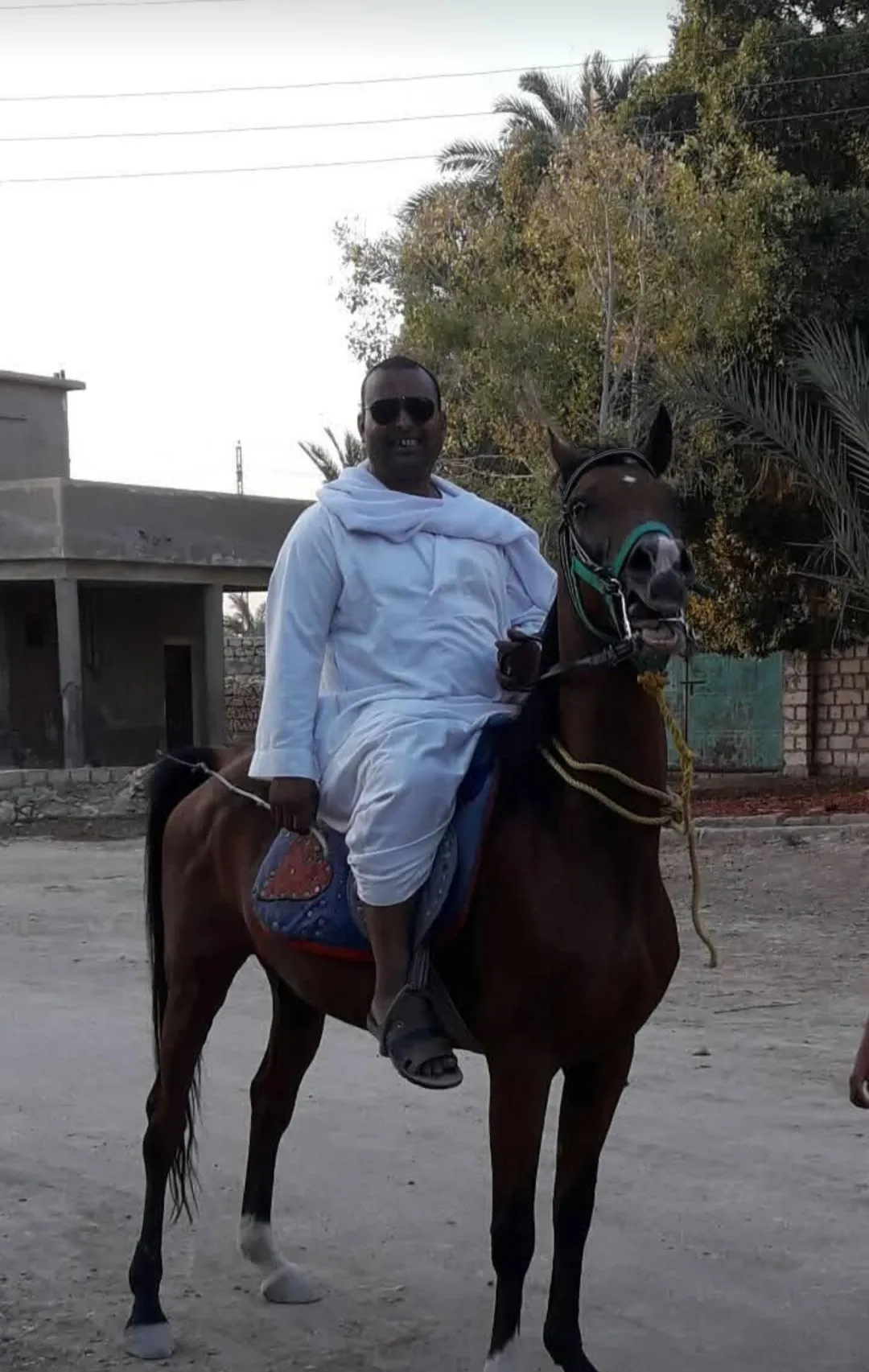 ابراهيم